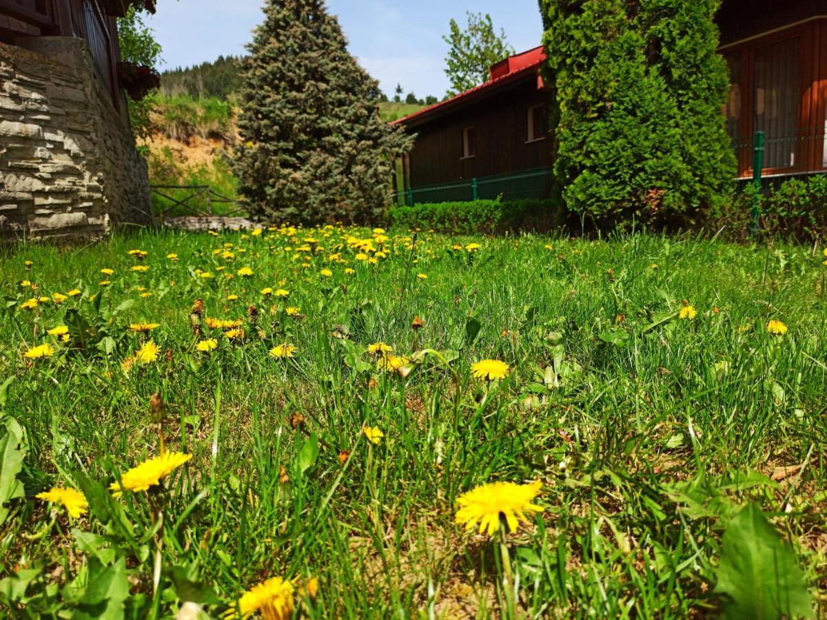 Rodopi Houses เชเปลาเร ภายนอก รูปภาพ