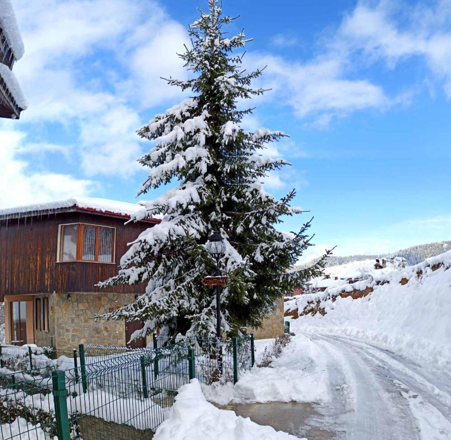 Rodopi Houses เชเปลาเร ภายนอก รูปภาพ