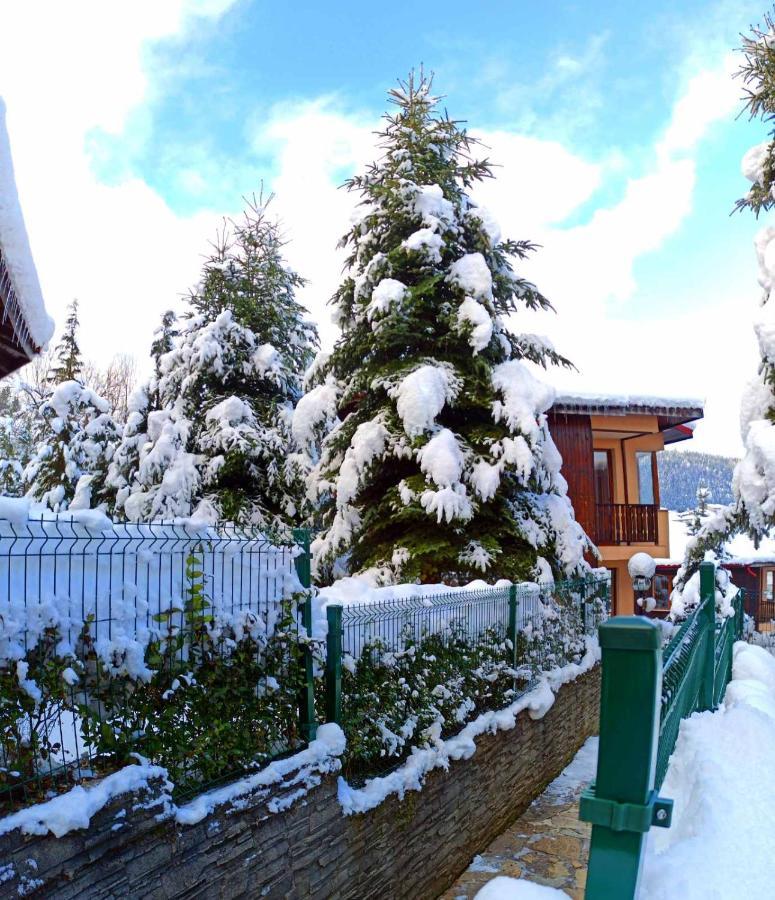 Rodopi Houses เชเปลาเร ภายนอก รูปภาพ